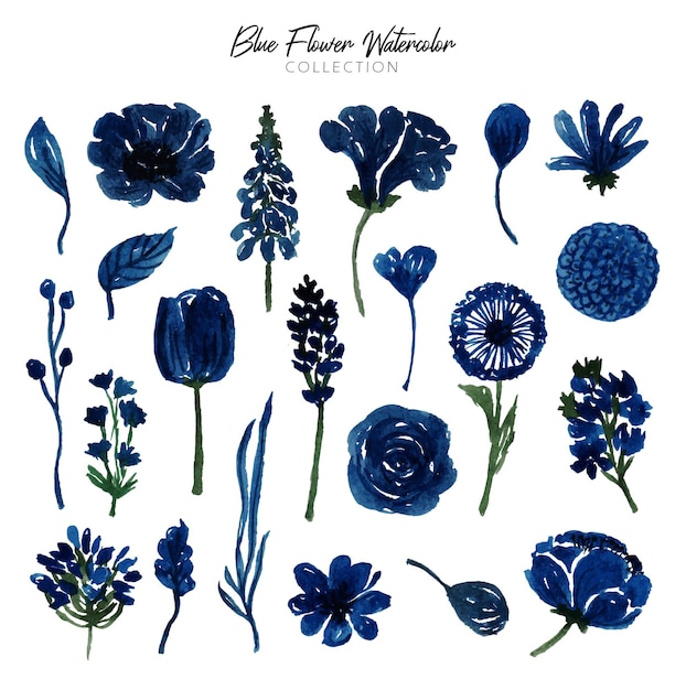 a set of beautiful hand drawn blue flower watercolor