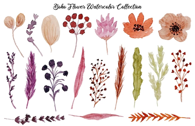 Vector a set of beautiful hand drawn flower watercolor