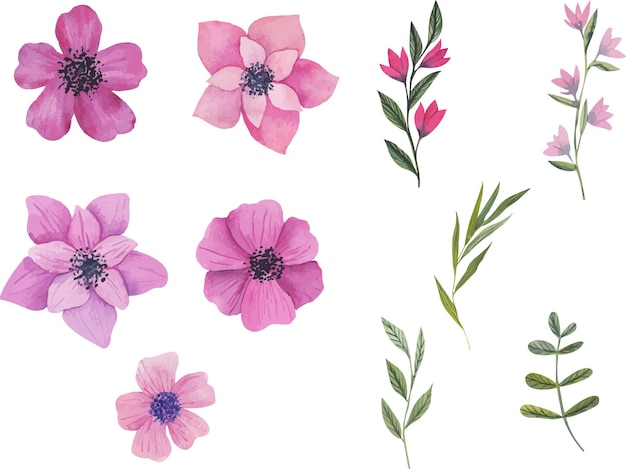 Set of beautiful hand drawn flowers in retro style