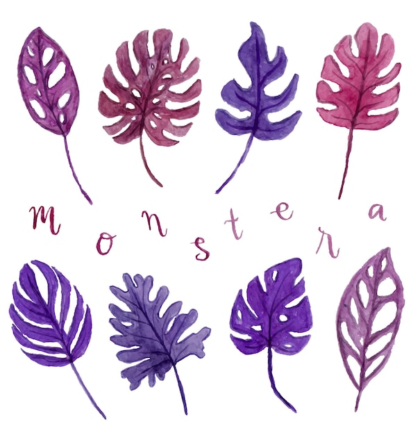 A set of beautiful hand drawn purple and violet monstera leaf watercolor