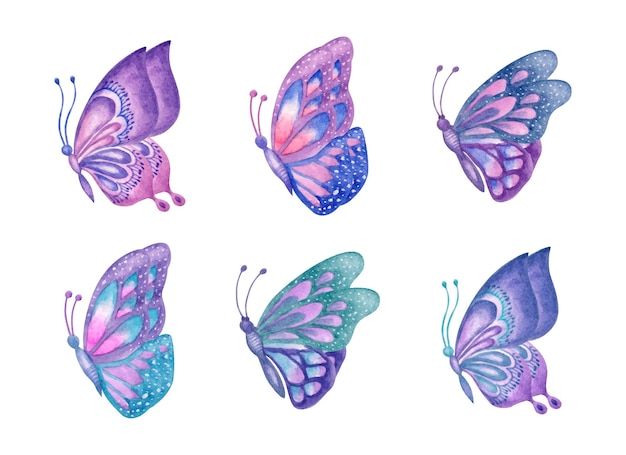 Set of beautiful hand drawn watercolor butterflies collection