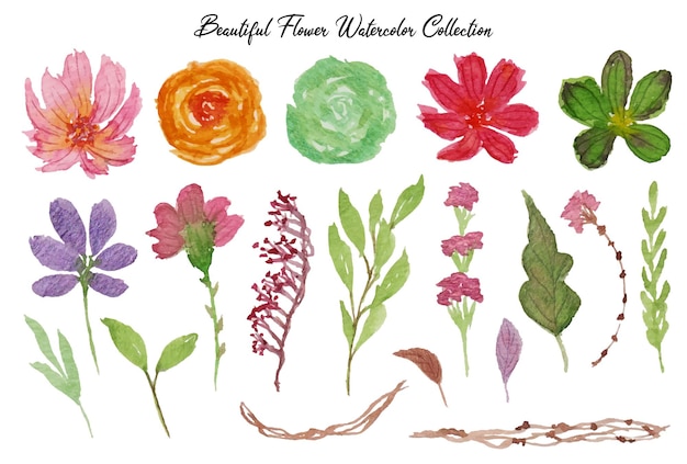 a set of beautiful hand painted flower and leaf watercolor