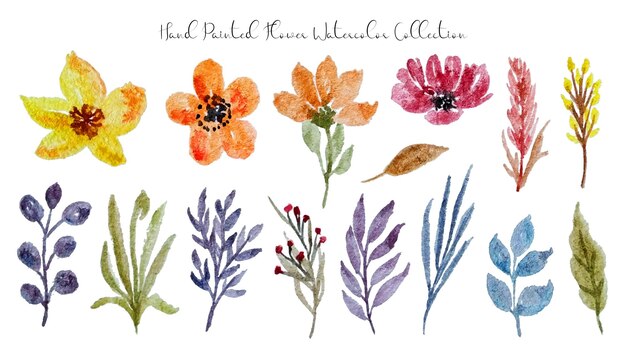 A set of beautiful hand painted flower and leaf watercolor