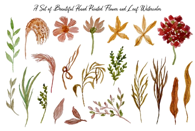 Vector a set of beautiful hand painted watercolor flower