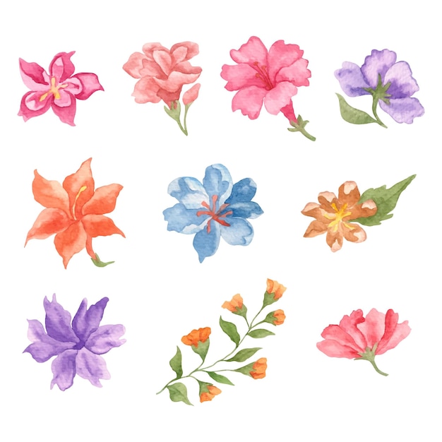 Set of beautiful lovely watercolor flower collection