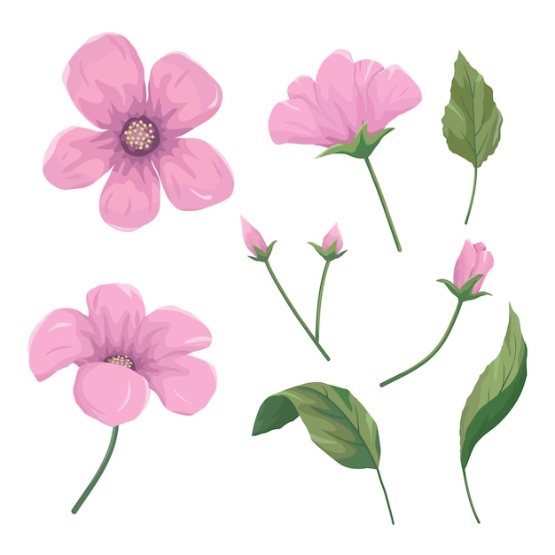 Vector set of beautiful pink flowers