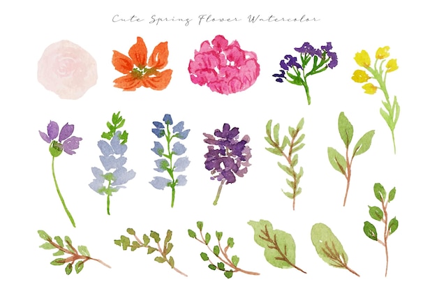 a set of beautiful spring bloomy flower and leaf watercolor