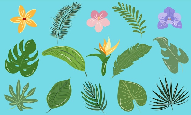 A set of beautiful tropical leaves and flowers