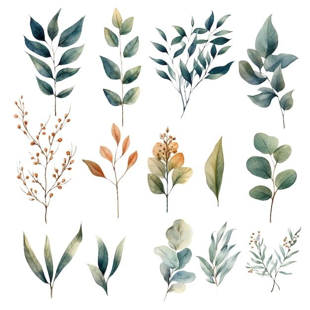 Vector set of beautiful watercolor green leaves and flowers