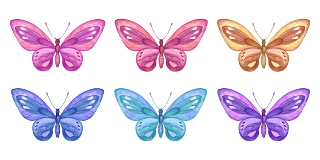 set of beautiful watercolor hand drawn butterfly set isolated on white