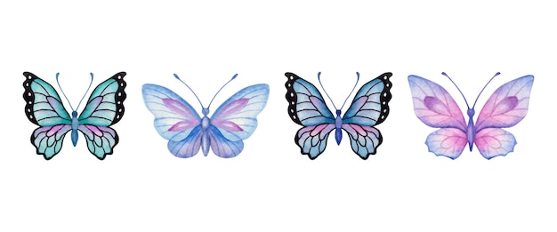 set of beautiful watercolor hand drawn butterfly set isolated on white