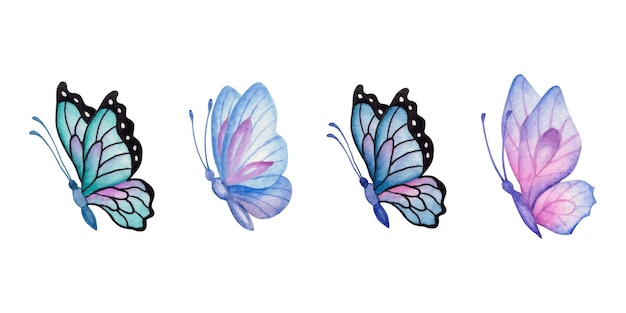 Set of beautiful watercolor hand drawn butterfly set isolated on white