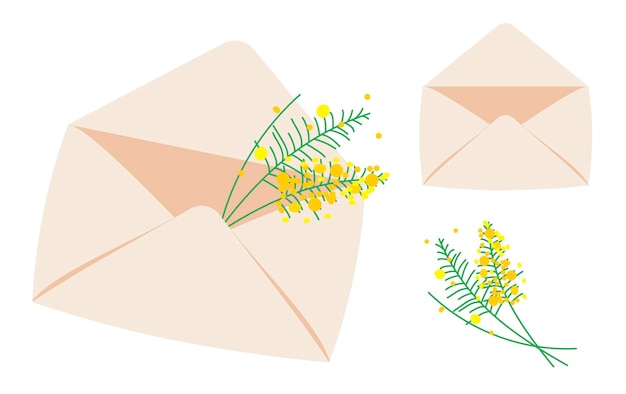 Set of beautiful yellow acacia flowers or inflorescences leaves and envelope isolated on background