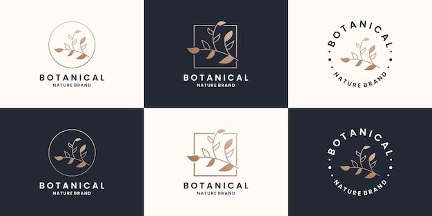 Set di cornice per il design del logo di botanica di bellezza, fiorista, boutique