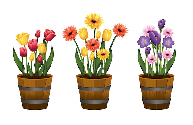 Set beauty flowers plants with leaves inside flowerpot