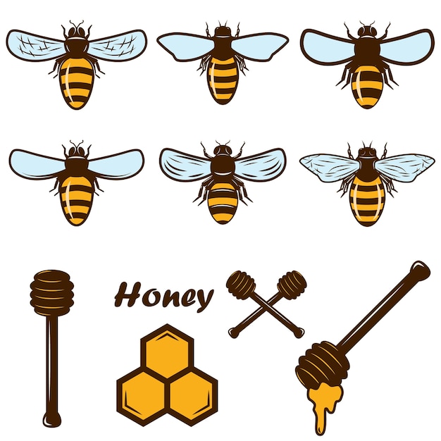 Vector set of bee and honey icons. design element for poster, card, label, sign, card, banner. image