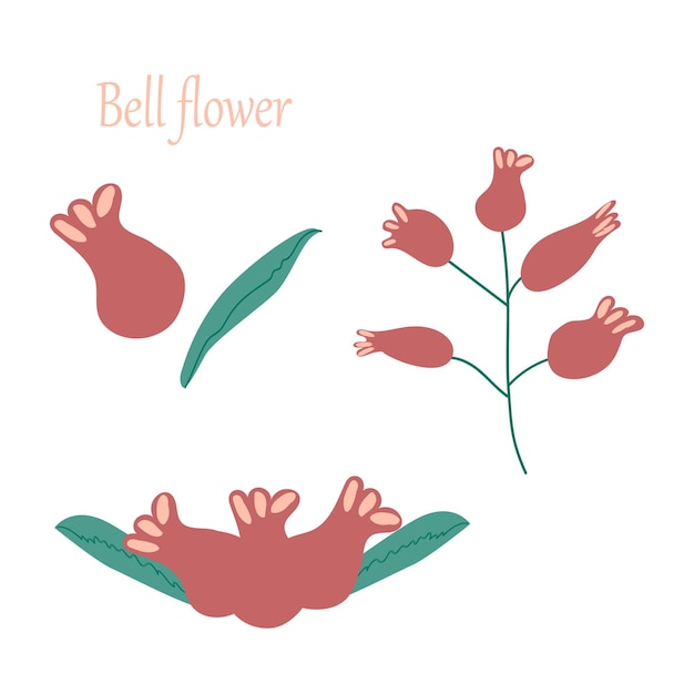 set of bell flower elements