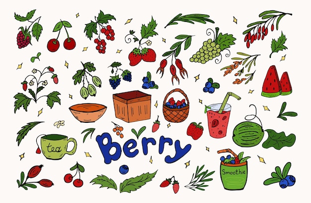 Set berries doodle color Vector illustration Berries leaves baskets smoothies healthy food