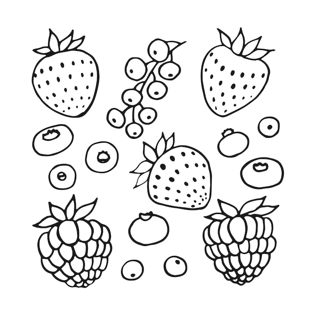 Vector set of berries hand drawn vector illustration in outline style