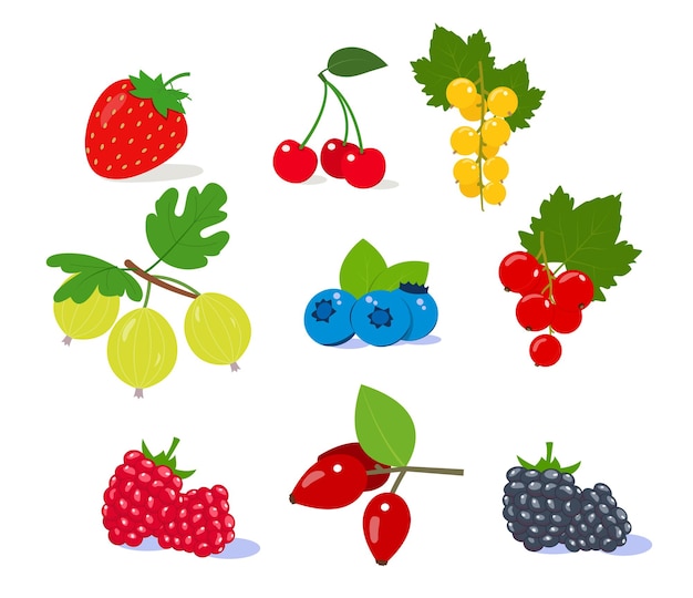 Set of berries Strawberry raspberry cherry and blackberry