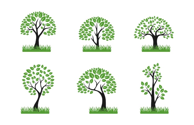 set of best tree logo collections template