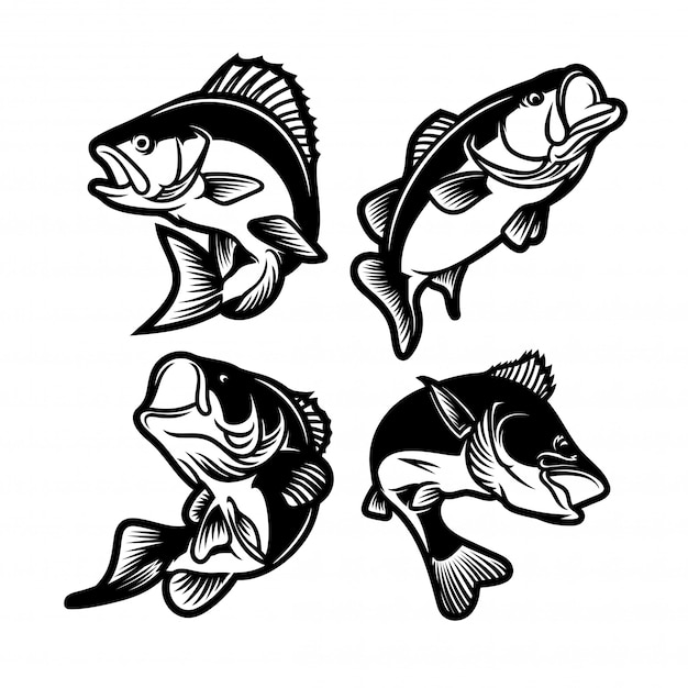 Vector set of big bass black and white. fishing logo