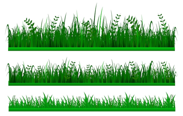 set of big grass green border or green fresh grass isolated.