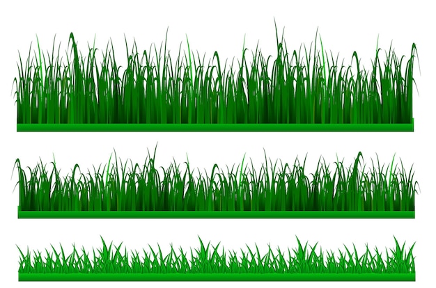 set of big grass green border or green fresh grass isolated.