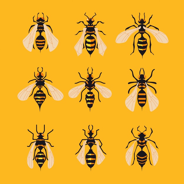 Set of big hornet on yellow background