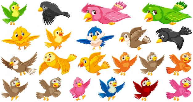 Set of bird cartoon character