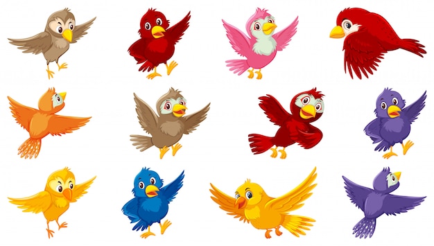 Vettore set di personaggio dei cartoni animati di uccello
