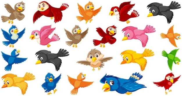 Set of bird cartoon character