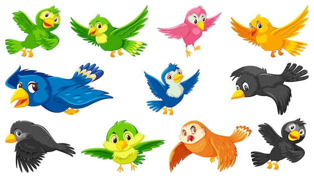 Set of bird cartoon character