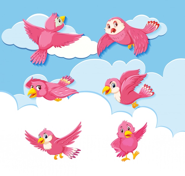 Set of bird character on sky background