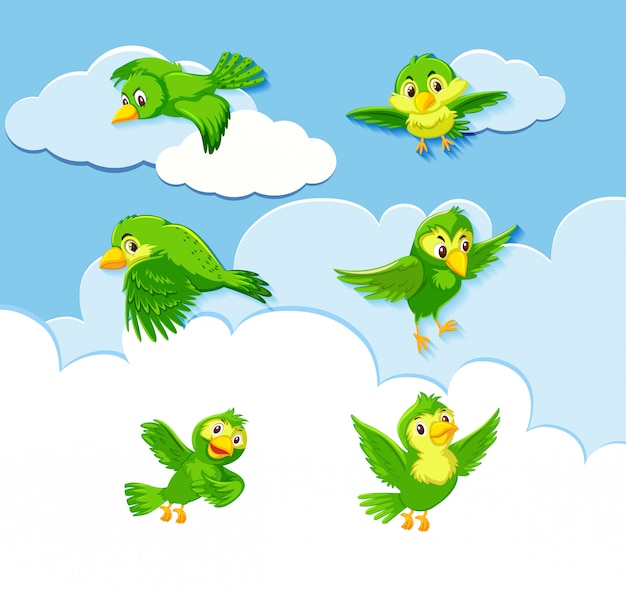 Vector set of bird character on sky background