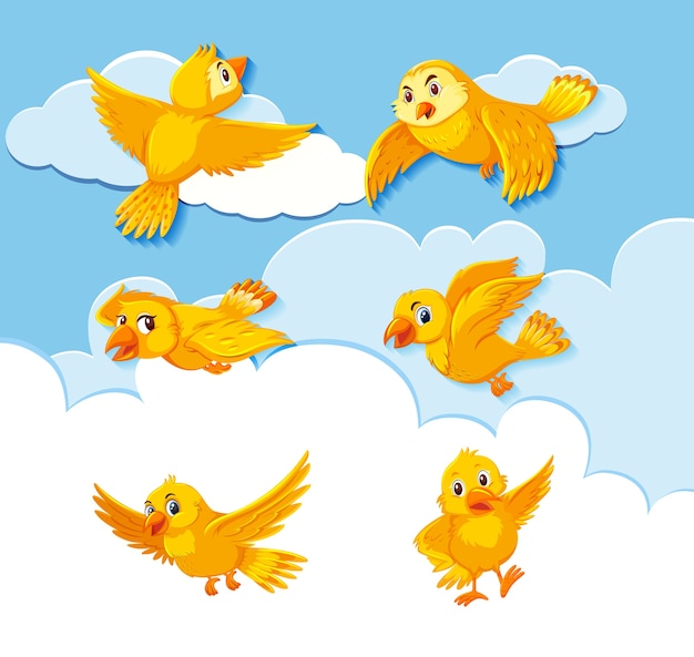 Set of bird character on sky background