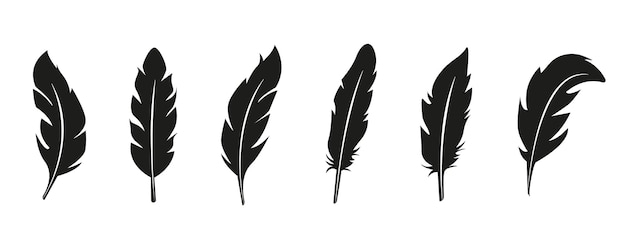 Set of bird feather black silhouettes. Plumelet collection. Vector of black feather, isolated