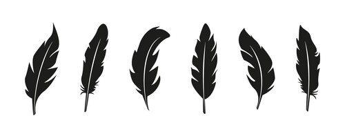 Vector set of bird feather black silhouettes. plumelet collection. vector of black feather, isolated