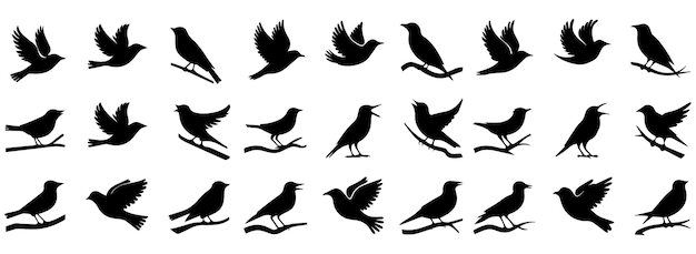 set of bird silhouette icons in various poses with white backgrounds