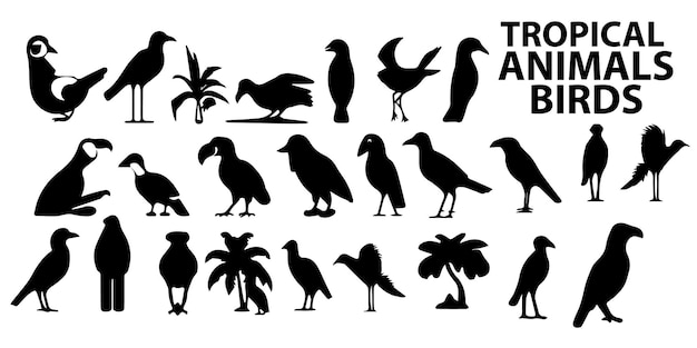 Набор векторных рисунков силуэта птицы