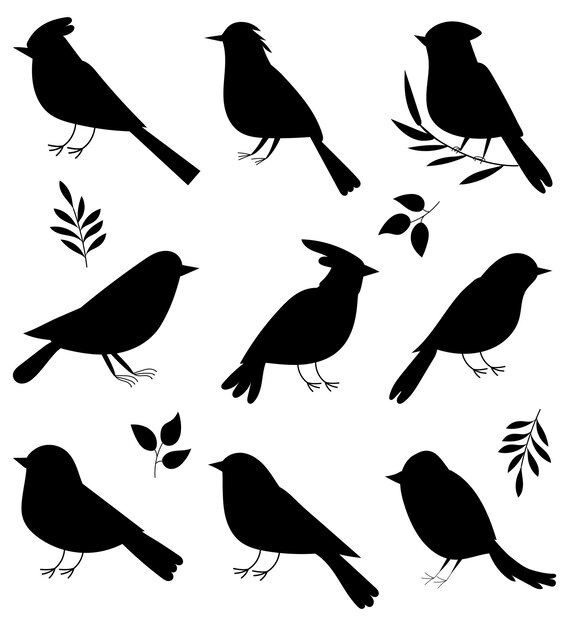 Set of birds black silhouette vector