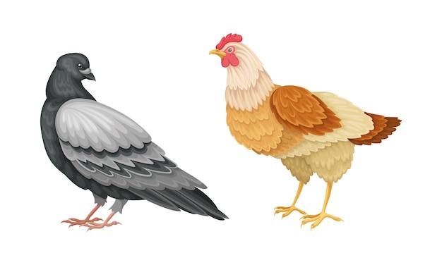 白い背景のベクトルイラストの鳥のセット