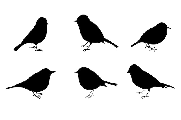 Set of Birds Silhouettes