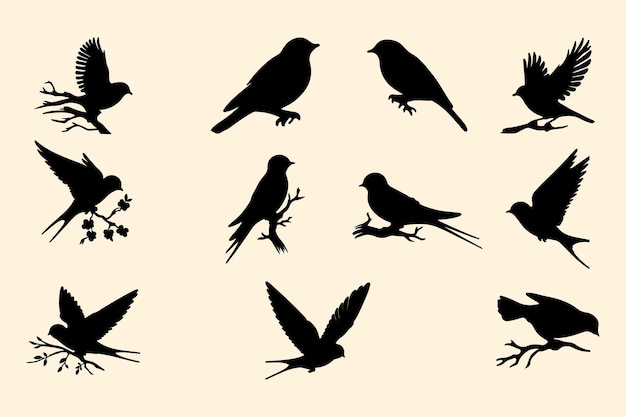 Vector set of birds silhoutee vector art illustration