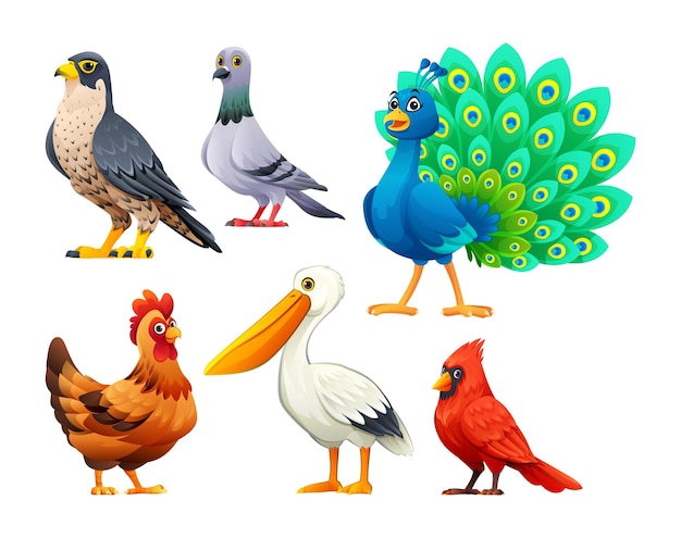 Set of birds vector cartoon illustration Falcon pigeon peacock hen pelican and cardinal