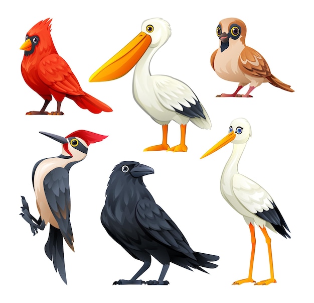 Set di illustrazioni cartoni animati vettoriali di uccelli