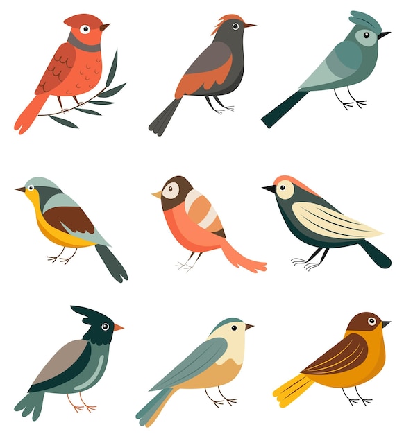 Set of birds and on a white background vector