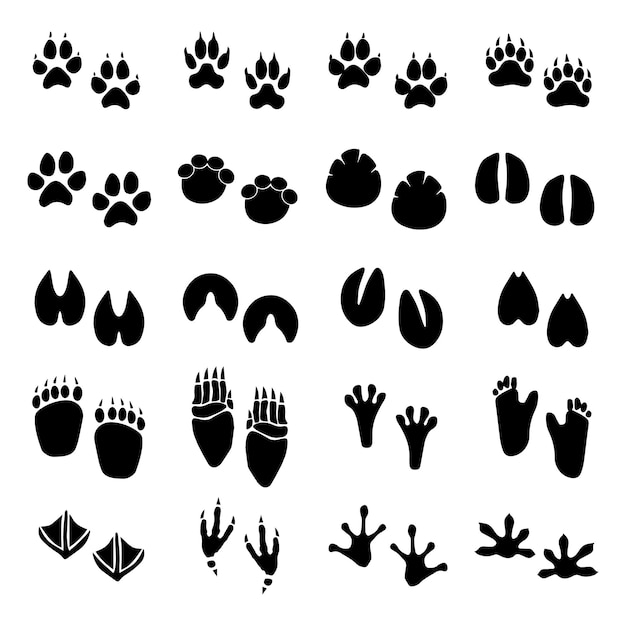 Vector set of black animal paws print isolated on white background premium vector