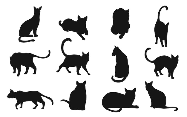 Set of black cat. Black cat silhouette on white background.