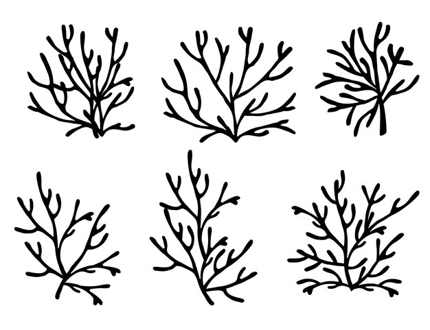 Set of black colored seaweeds silhouette underwater ocean plants sea coral elements flat vector illustration on white background